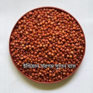 ১  কেজি ইন্ডিয়ান  সরগম সুদান ঘাসের বীজ