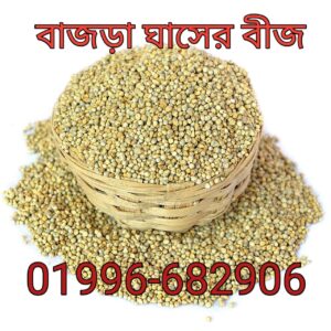১ কেজি বাজড়া ঘাসের বীজ